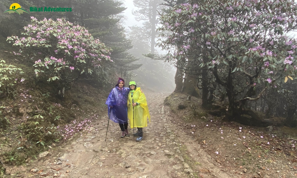 The Visual Wonders of Sandakphu Trek: A Photo Story