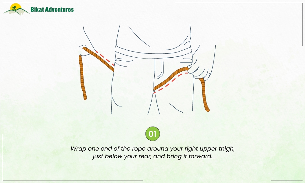 All You Need to Know About a Harness