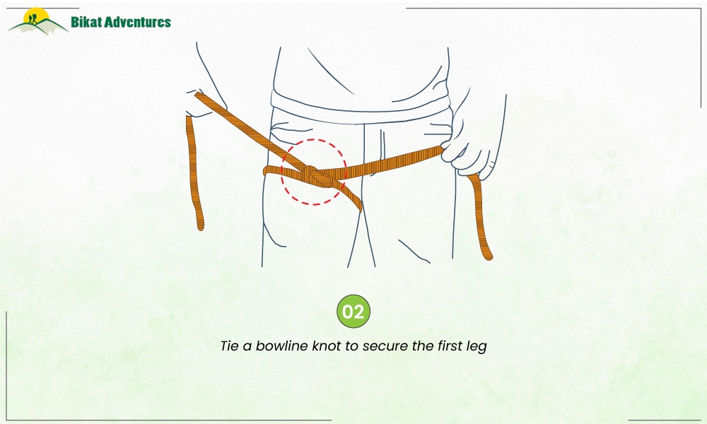 All You Need to Know About a Harness