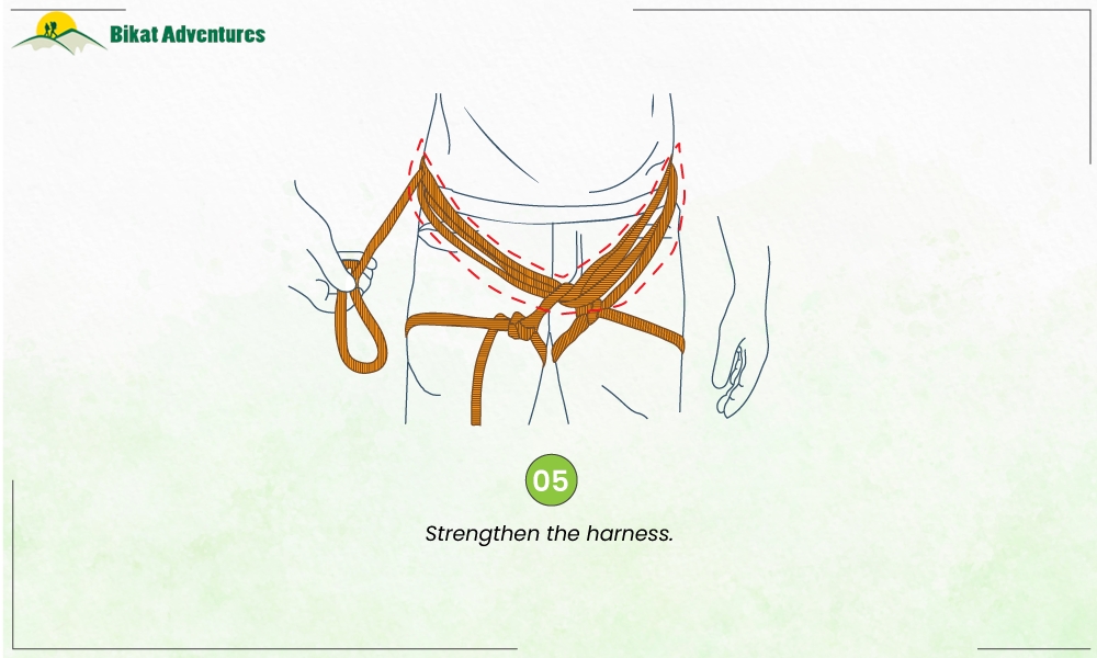 All You Need to Know About a Harness