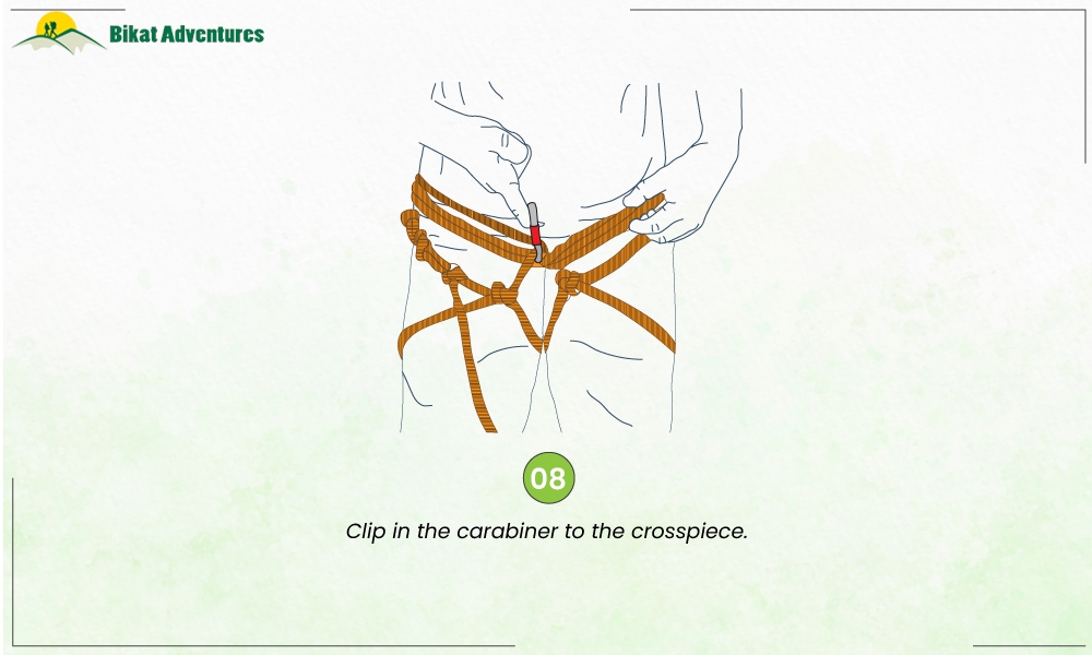 All You Need to Know About a Harness