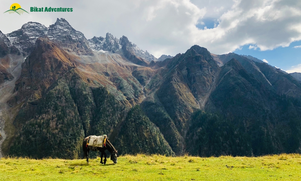 Difference Between Expeditions, High Altitude Treks and Hikes