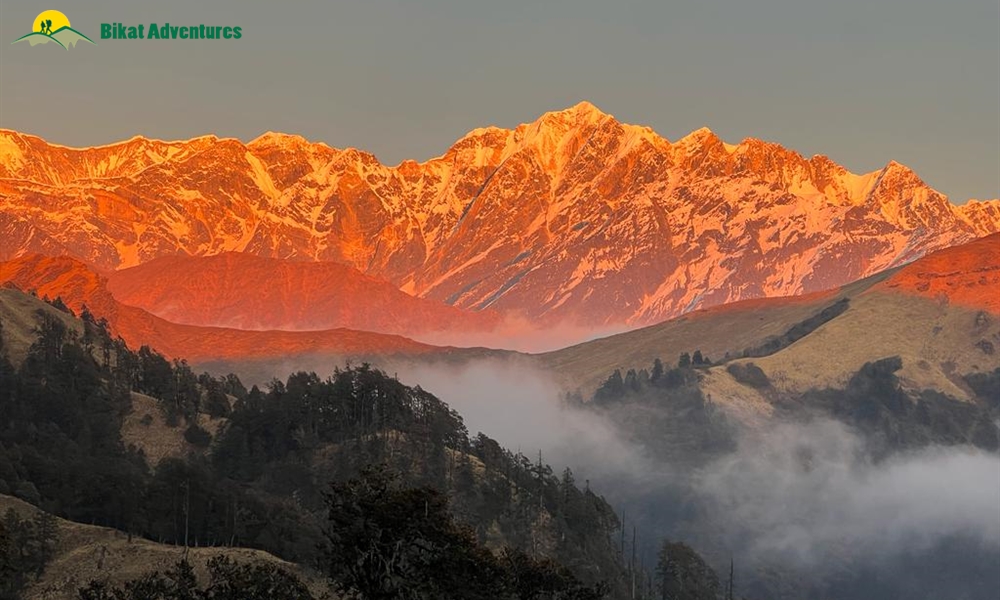 Highlights of Ali Bedni Bugyal