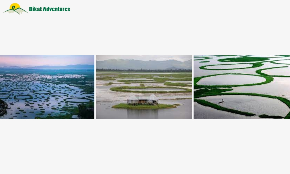 Interesting Facts About Northeast India
