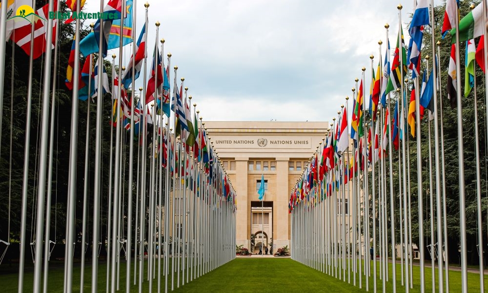 Things to Do in Geneva