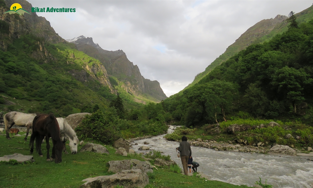 Geographical Features and Kinds of Terrain Encountered on Expeditions