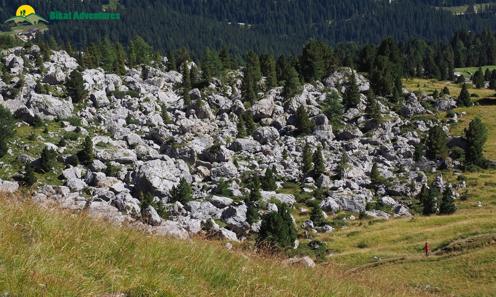 Geographical Features and Kinds of Terrain Encountered on Expeditions