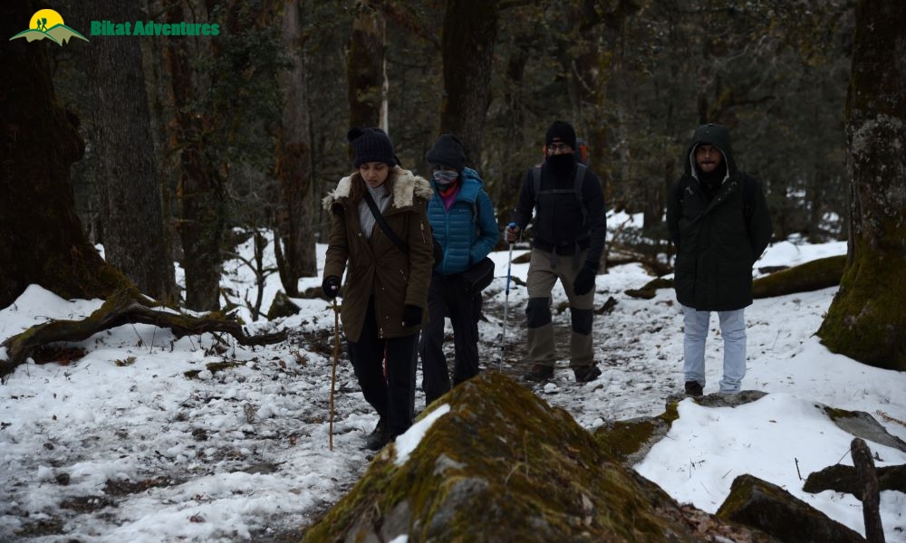 Highlights of Kuari Pass