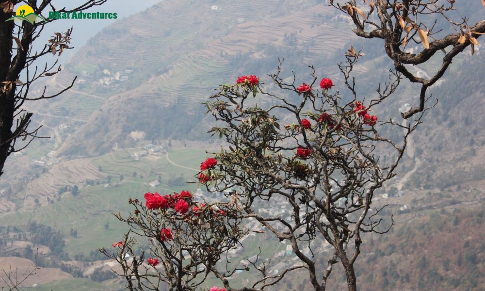 Highlights of Deoriatal-Chandrashila