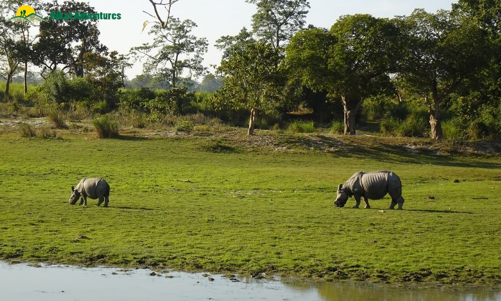 9 Places To Visit In Northeast India In Summers