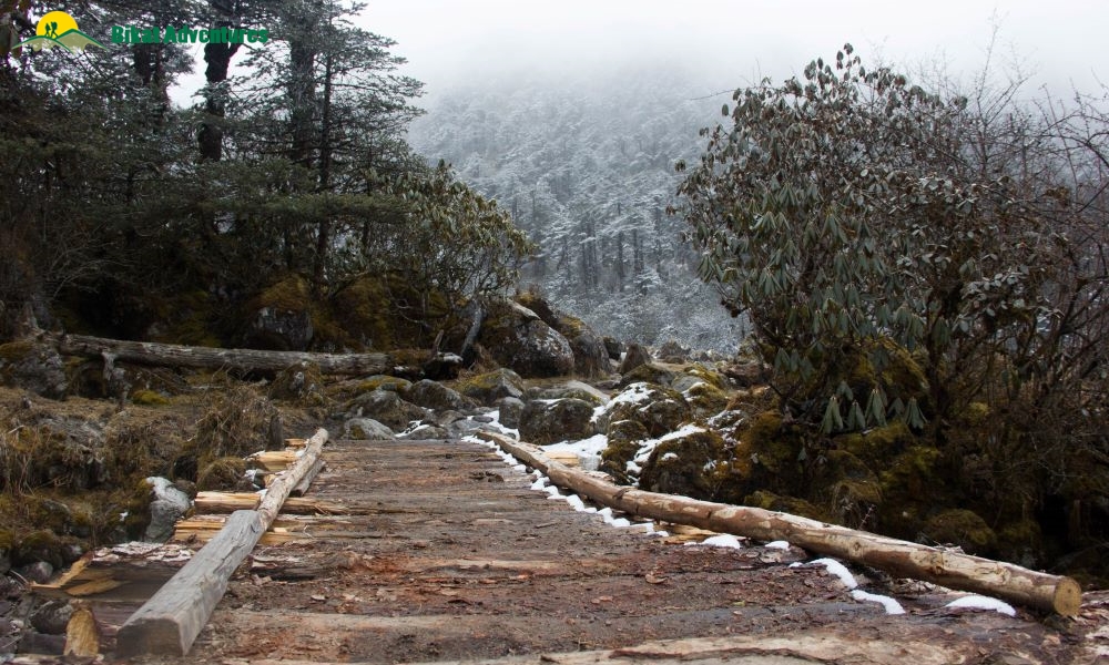 Highlights of Dzongri Trek