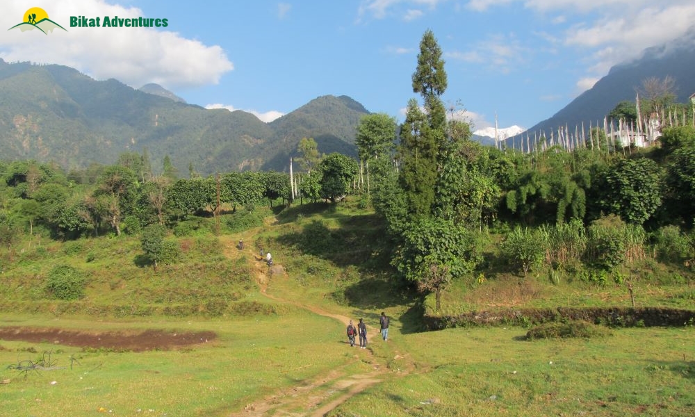 Highlights of Dzongri Trek