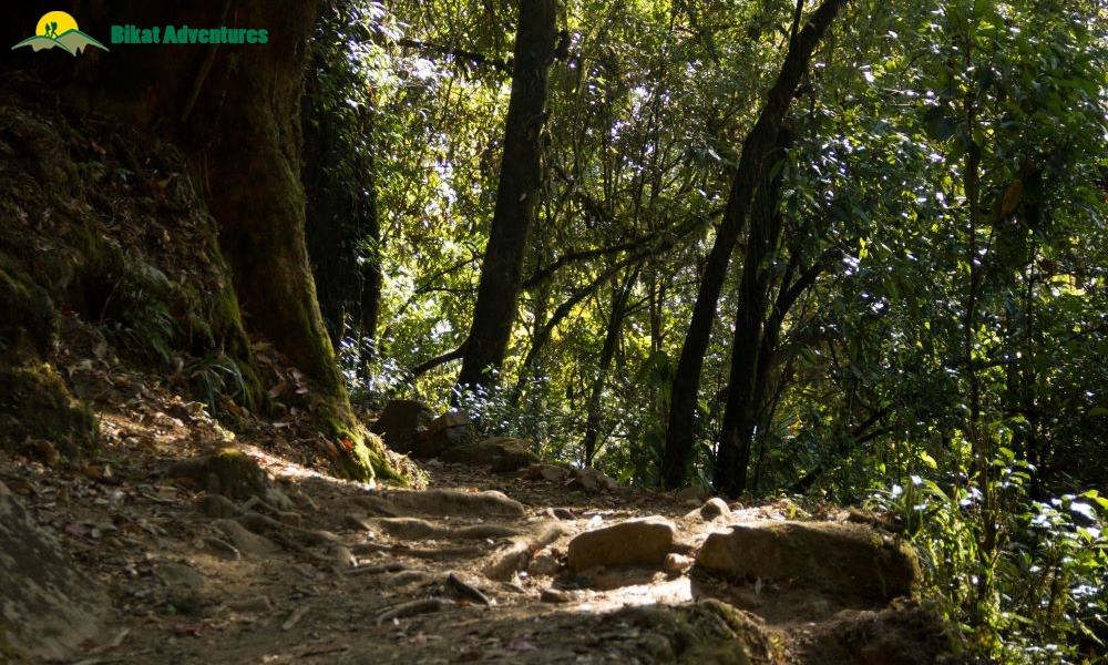 Highlights of Dzongri Trek