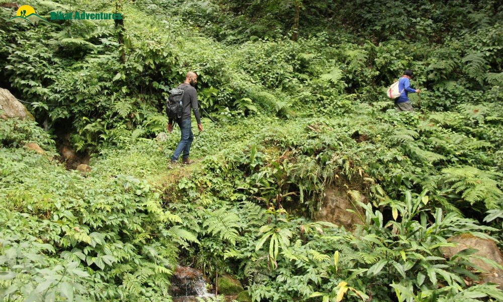 Highlights of Dzongri Trek