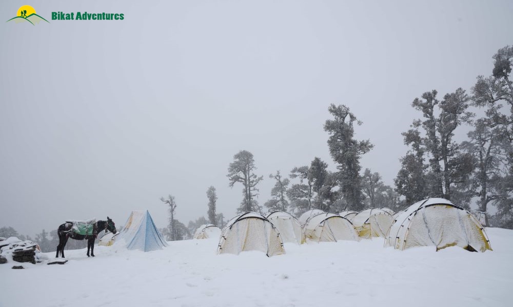 Dodital Darwa Pass vs Other Winter Treks