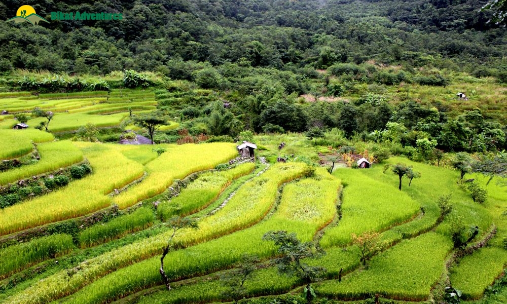 A Travel Guide to Nagaland