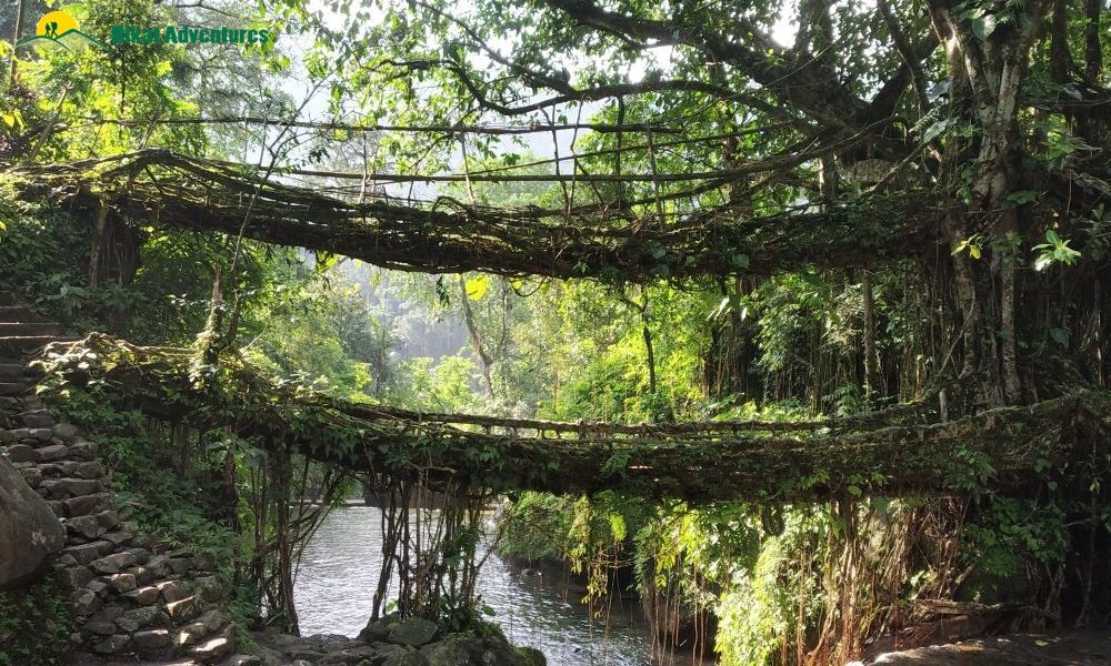 A Travel Guide to Meghalaya