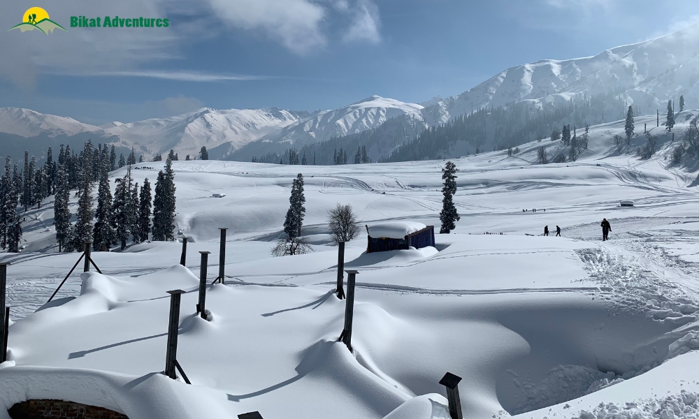 Highlights Of Skiing Courses
