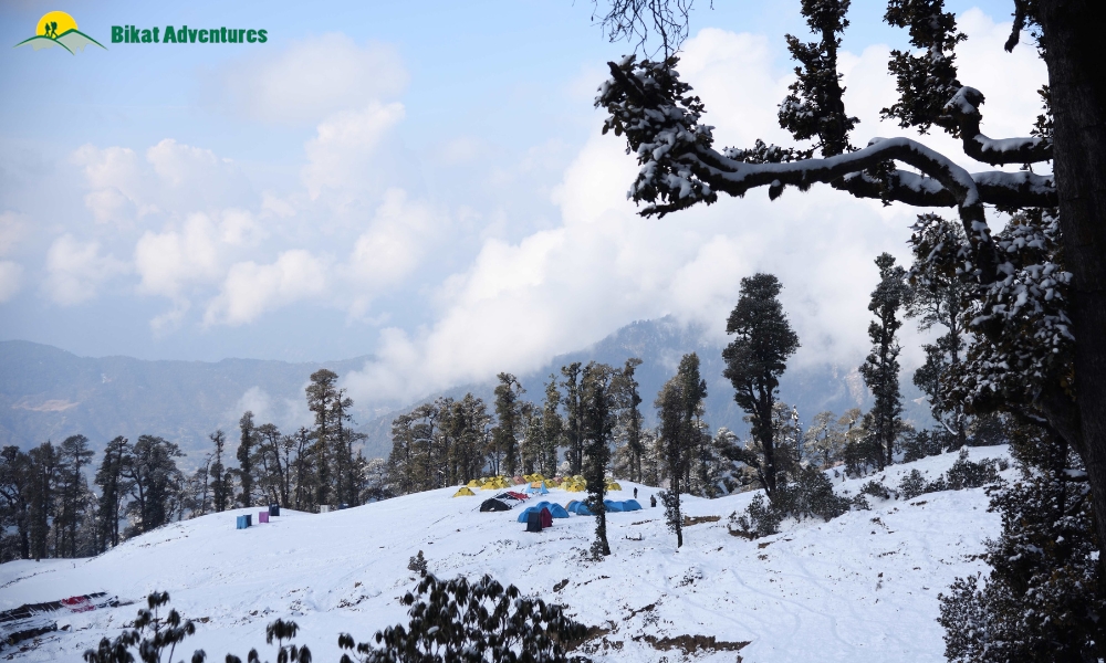 Ali Bedni Bugyal vs Brahmatal: Which is a Better Winter Trek?