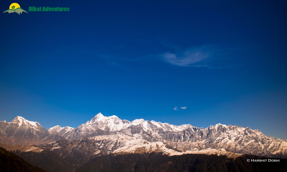Ali Bedni Bugyal vs Brahmatal: Which is a Better Winter Trek?