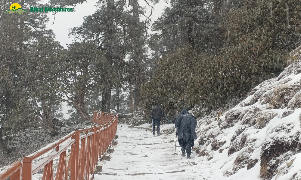 Dayara Bugyal vs Deoriatal Chandrashila: Which is a Better Beginner’s Trek?