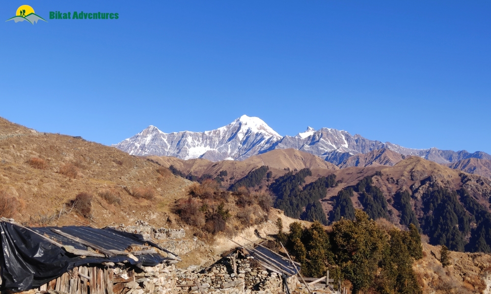 Dayara Bugyal vs Deoriatal Chandrashila: Which is a Better Beginner’s Trek?