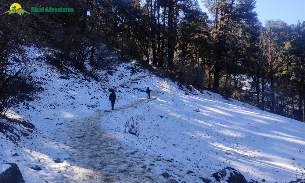 Comprehensive Guide to Dayara Bugyal Trek