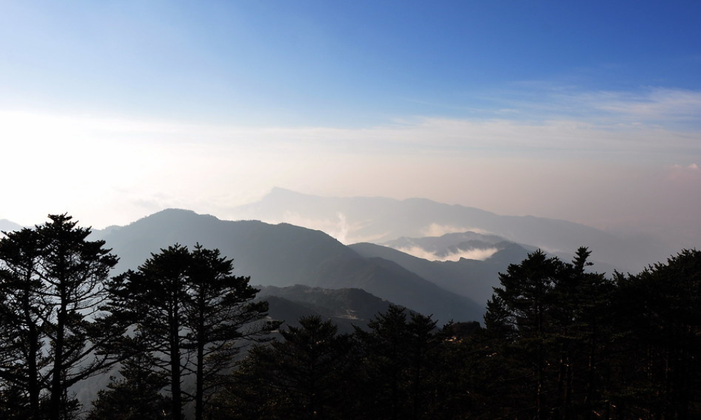 A Day-Wise Guide to Sandakphu Phalut Trek