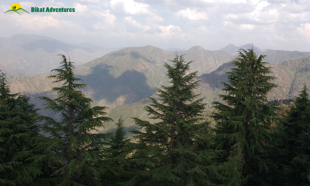 Comprehensive Guide To Deoriatal Chandrashila Trek