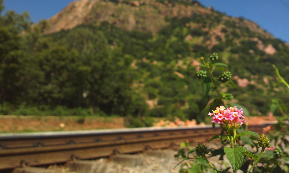 A DIY Guide To Makalidurga Trek