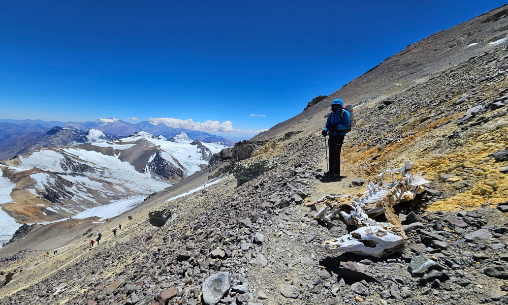 FAQs About Climbing Aconcagua: The Highest Summit Outside Asia