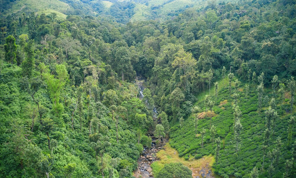 A DIY Guide to Kudremukh Trek