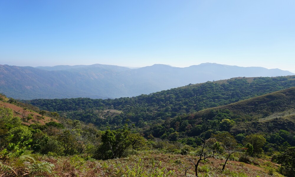 A DIY Guide to Kudremukh Trek
