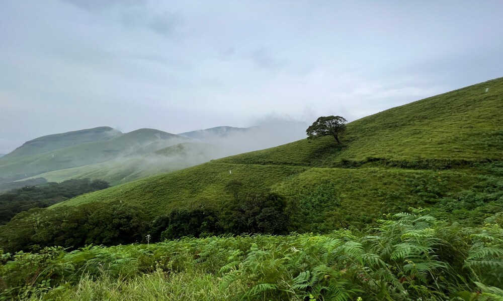 A DIY Guide to Kudremukh Trek