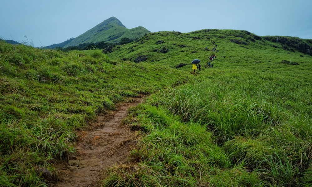 A DIY Guide to Chembra Peak Trek