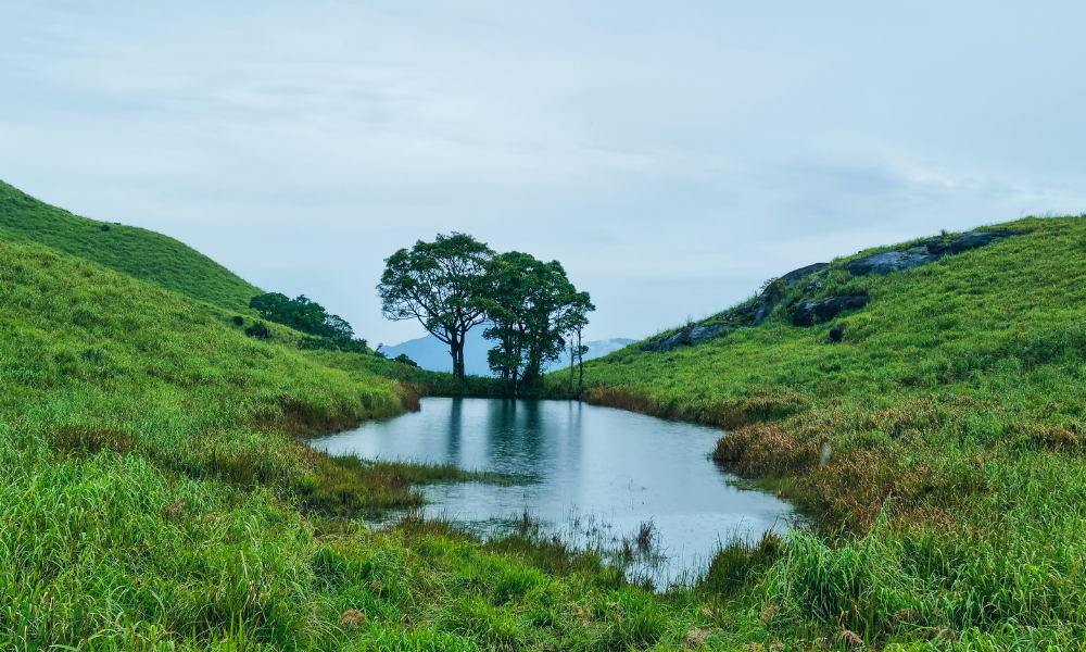 A DIY Guide to Chembra Peak Trek