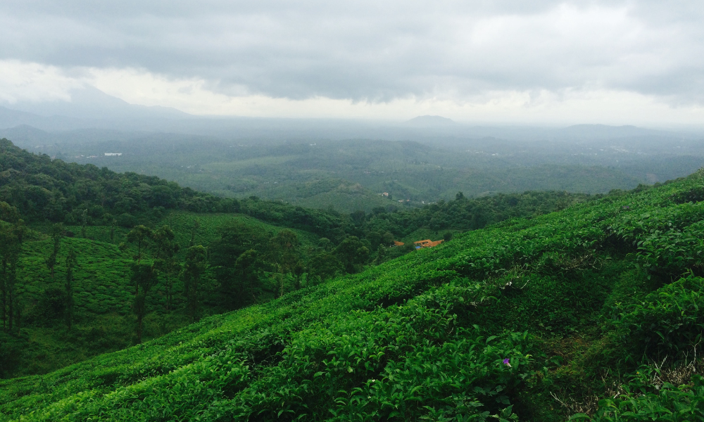 A DIY Guide to Chembra Peak Trek