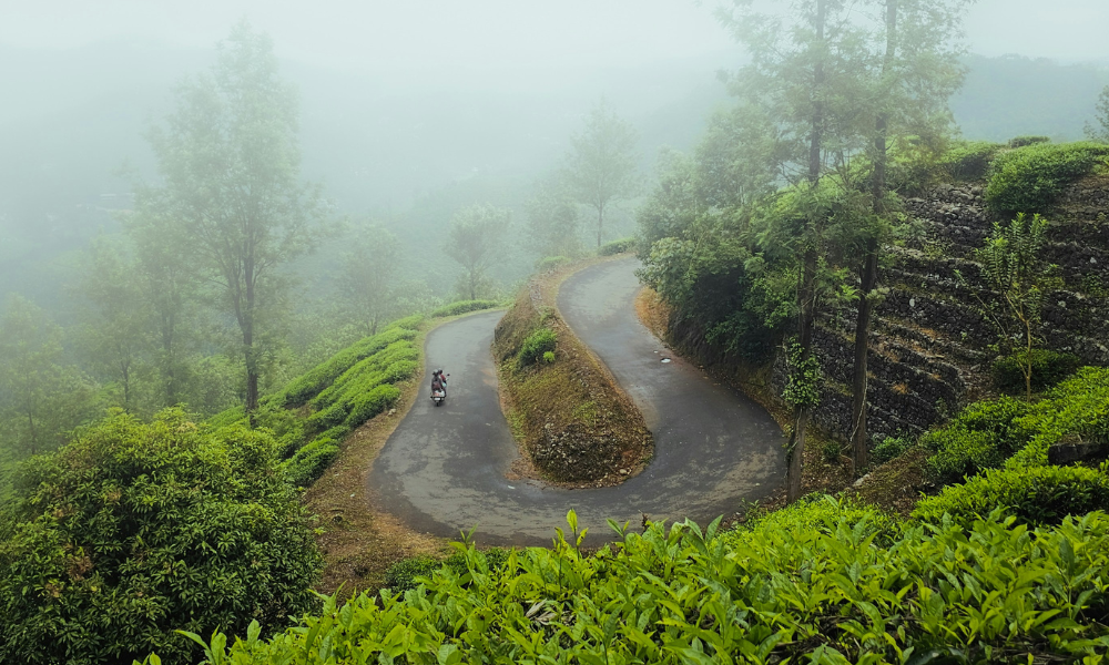 A DIY Guide to Chembra Peak Trek