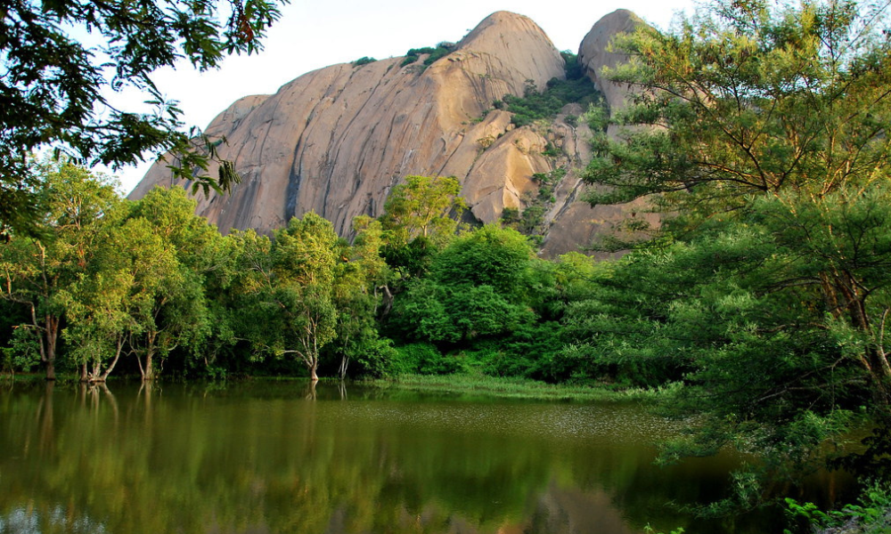 A DIY Guide to Savandurga Trek