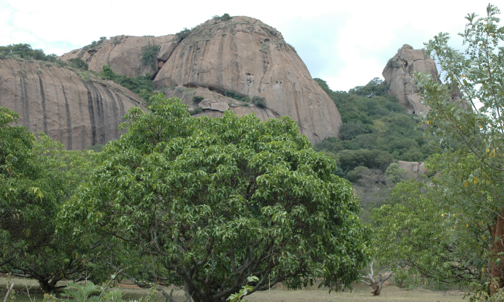 A DIY Guide to Savandurga Trek