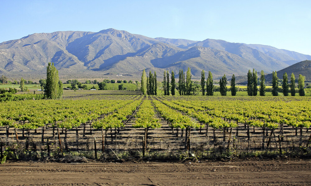 How To Reach Mendoza And What To Do There