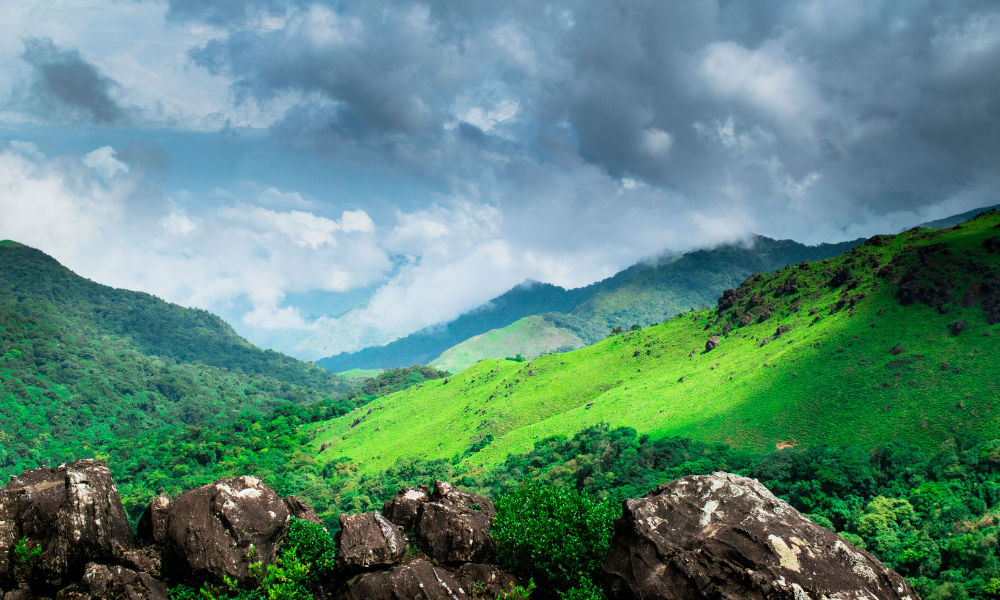 A DIY Guide to Tadiandamol Trek