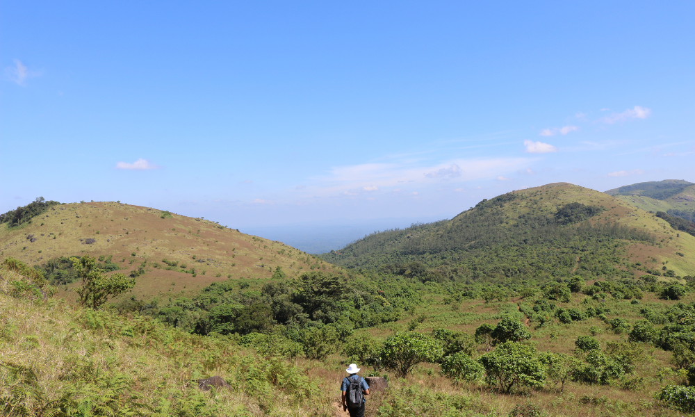 A DIY Guide to Tadiandamol Trek