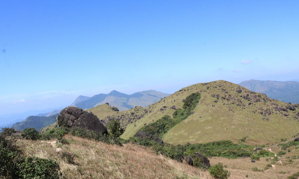 A DIY Guide to Tadiandamol Trek