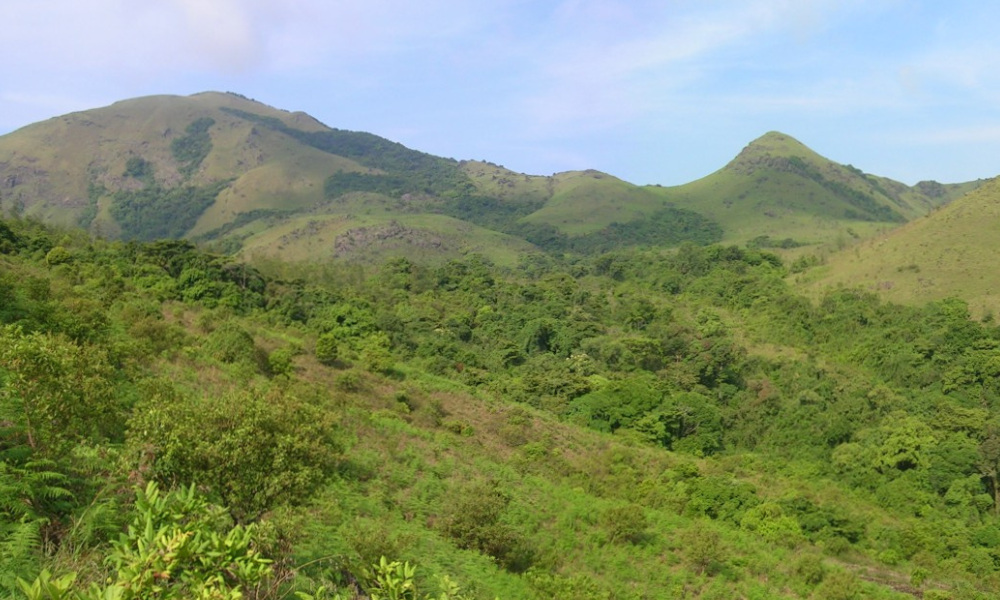 A DIY Guide to Tadiandamol Trek