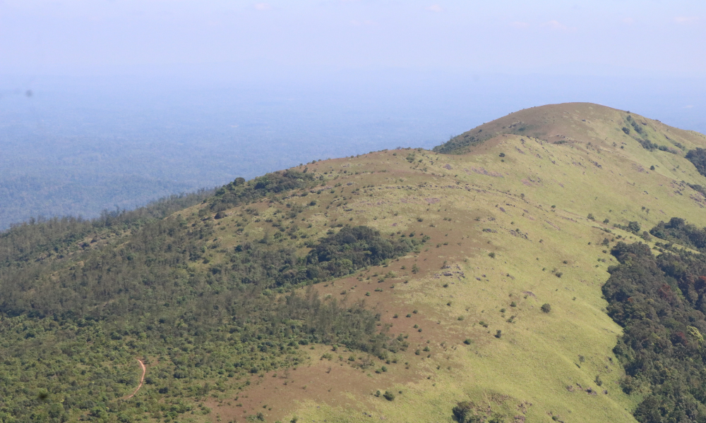 A DIY Guide to Tadiandamol Trek
