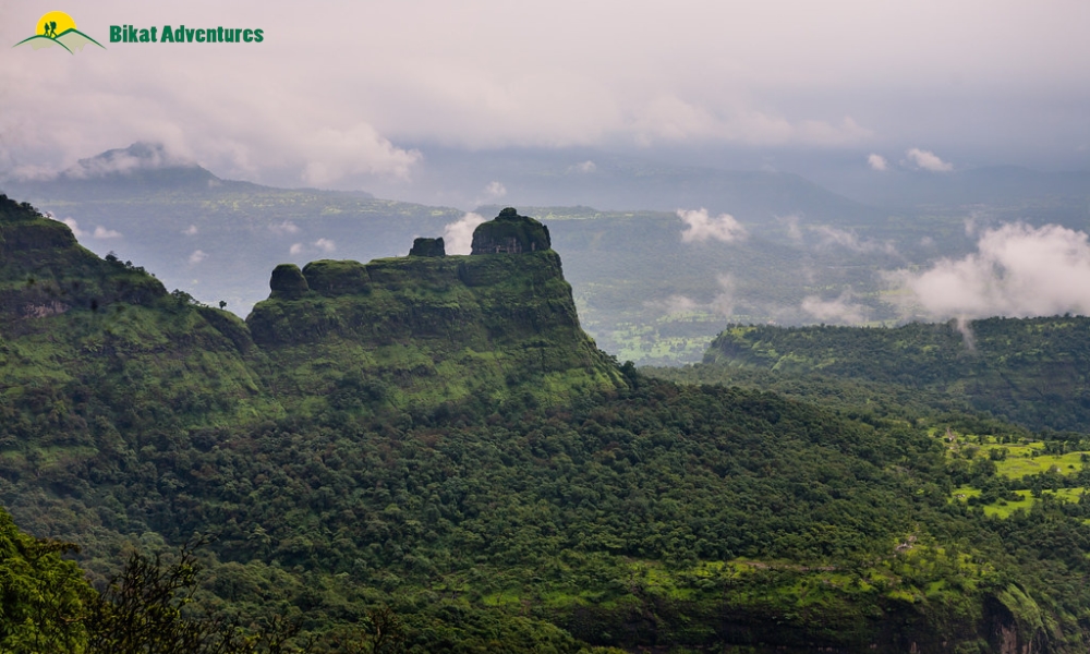 A DIY Guide To Bhimashankar Trek