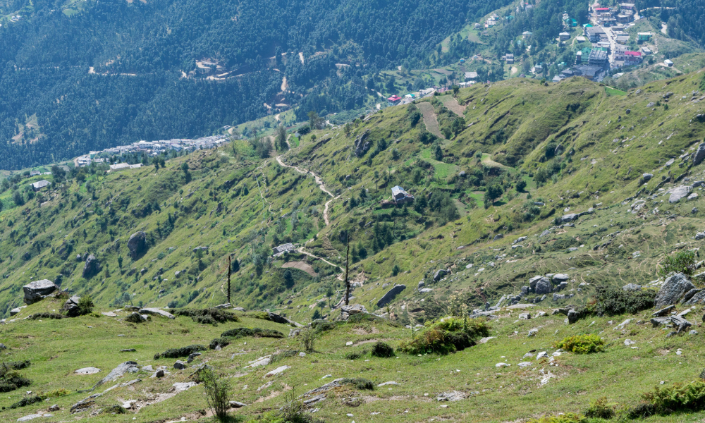 A DIY Guide To Churdhar Peak Trek