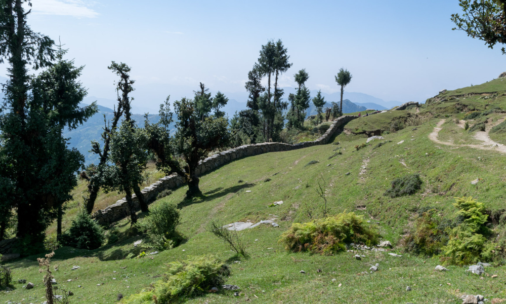 A DIY Guide To Churdhar Peak Trek