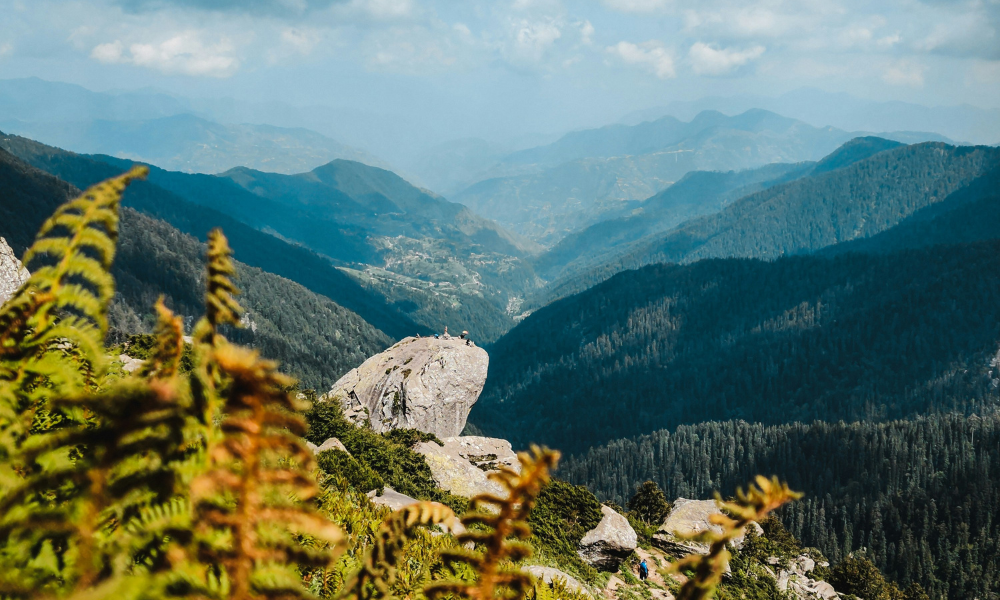 A DIY Guide To Churdhar Peak Trek